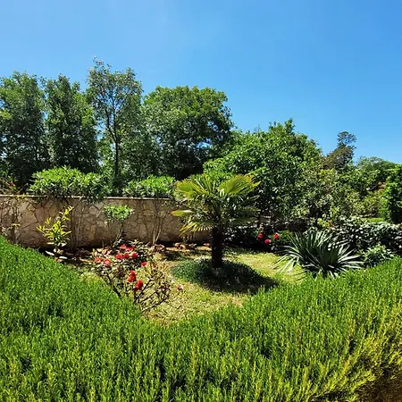 Dani 1 By Interhome * Malinska